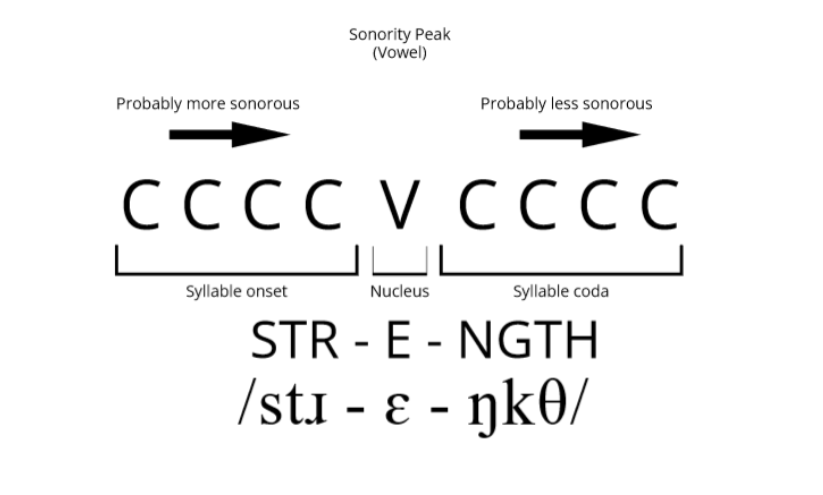 Sonority Hierarchy